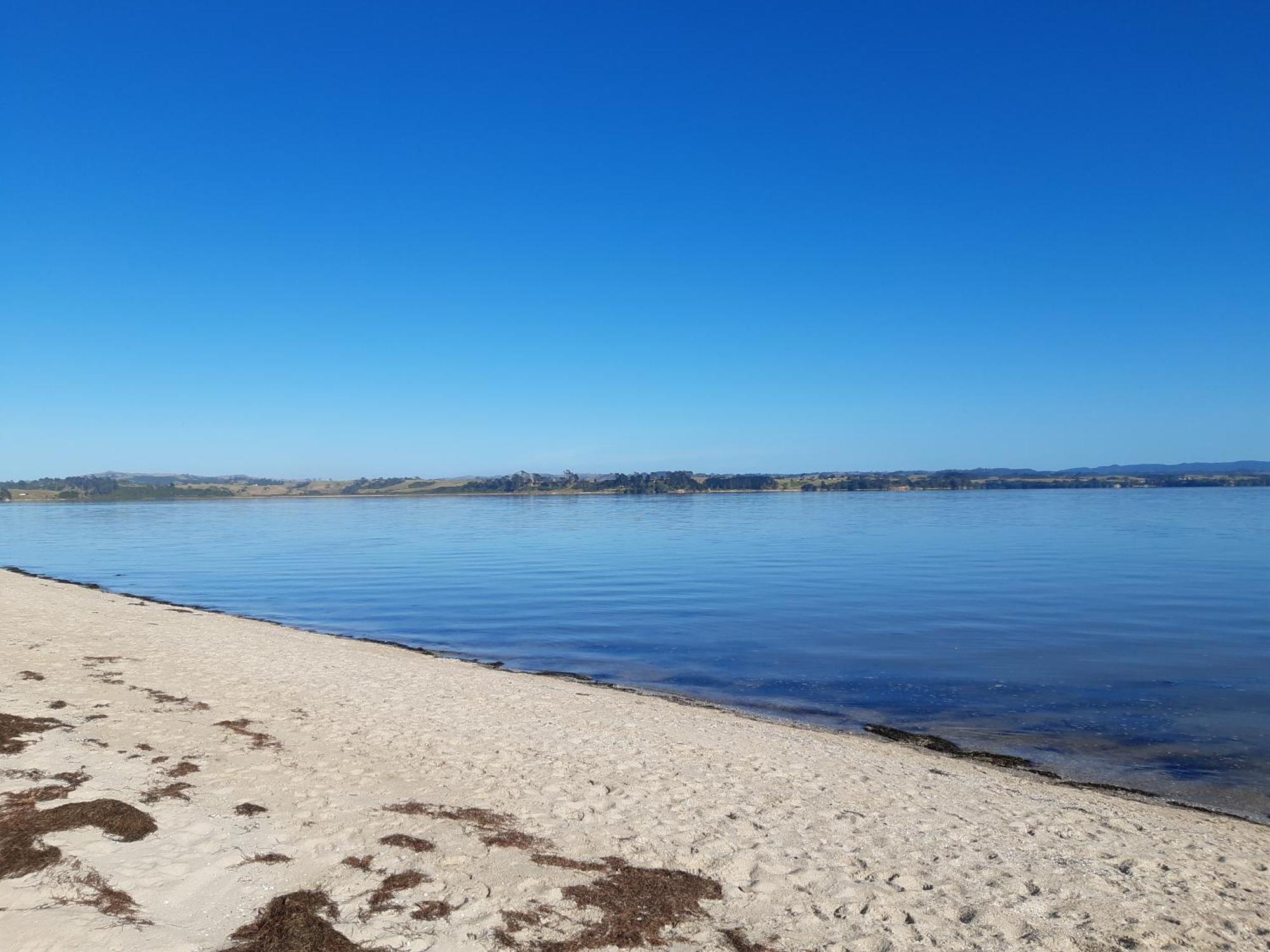 Вилла Once Upon A Tide Окленд Экстерьер фото